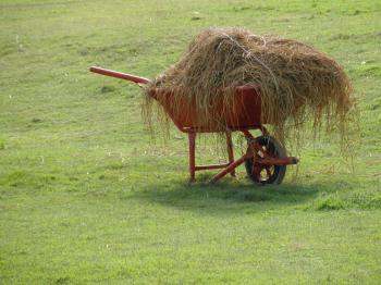 Wheelbarrow Full of Hay