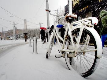White City Bike Cover With Snow