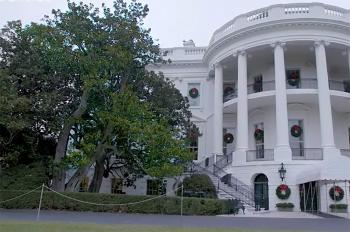 White House to cut down 200-year-old tree