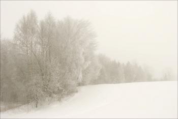 White landscape. | Blanco. | Pinterest | Landscaping