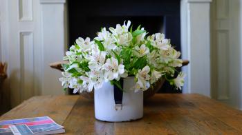 White Petaled Flower on White Flower Vase