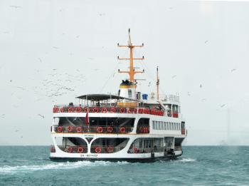 White Ship Traveling Through Vast Body of Water With White Birds Flying Beside