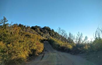 Heart of the Wild Group Camp, Jewel Of The Mountains, CA: 18 ...