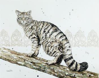 leopards cheetahs lions caroline fulton animal painter wildlife art