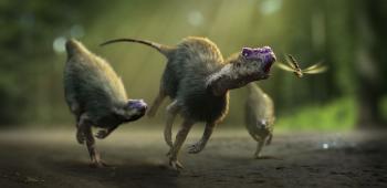 Dinosaurs in the Wild - stunning pictures of the huge dino show ...