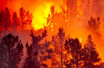What if a wildfire came near my house? | HowStuffWorks