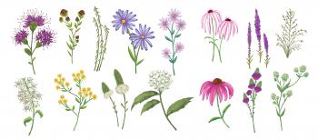 Wild Flower Drawing at GetDrawings.com | Free for personal use Wild ...