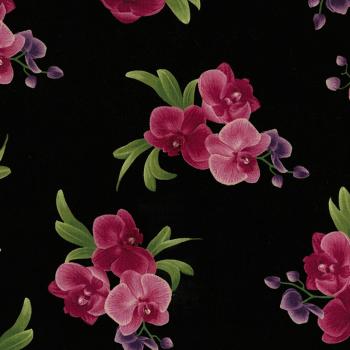 Black Orchid Lg Flowers Wild Orchid*
