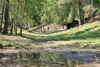 File:Landschaft Wildpark Schwarzach.jpg - Wikimedia Commons