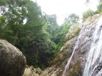 Wild Waterfall