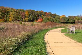 Winding Autumn Arboretum Path - HDR