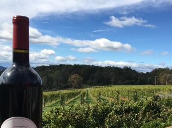 Must Visit Virginia Wineries Near DC - The Corkscrew Concierge™