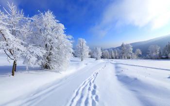 Brian's Winter - Lessons - Tes Teach