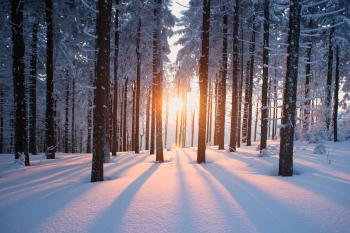 My Eleven Favorite Things About Winter