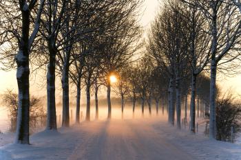 File:Misty winter afternoon (5277611659).jpg - Wikimedia Commons
