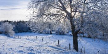 How to Relieve Back Pain in the Winter | Loom and Leaf Sleep Blog