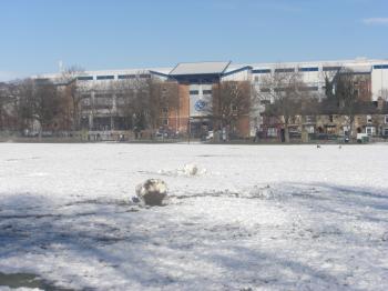 Winter At Hillsborough Park