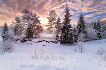 In the short winter day / 2560 x 1707 / Nature / Photography ...