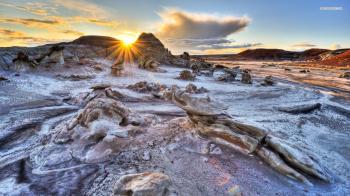 Frosty Winter Morning In The Desert - WallDevil