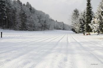 Affoltern2-28 Georg-Kempf-Strasse winter fields | Zuricity.com