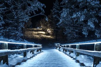 Winter night park / 6534 x 4360 / Other / Photography | MIRIADNA.COM