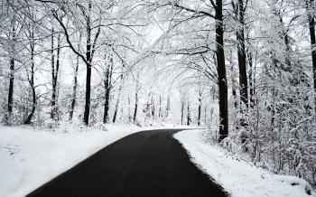 Winter road / 2560 x 1600 / Forest / Photography | MIRIADNA.COM