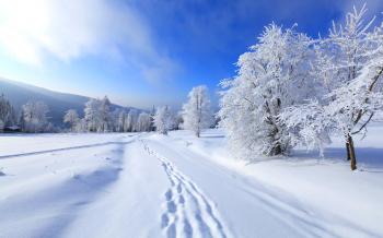 Winter Road Wallpaper Desktop #h919652 | Travel HD Wallpaper ...