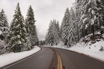 Winter Road