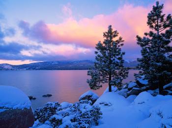 Winter scene wallpapers