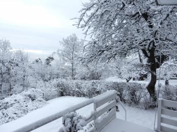 Winter View | Linda Marveng