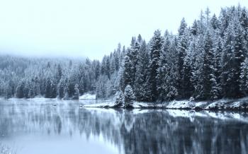 TWO WALKS IN WINTER : : : : : : : WINTER WOODS by SONOMA SCENT ...