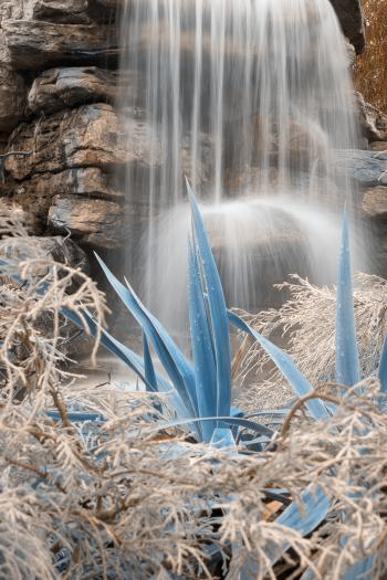 Wintry Blue Waterfall Foliage - HDR