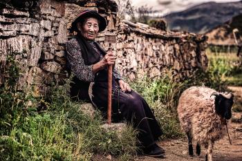 Woman Sitting on Rock Beside Wall and Near Sheep