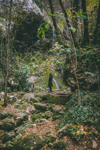 Woman Wearing Black Trench Coat in the Forest
