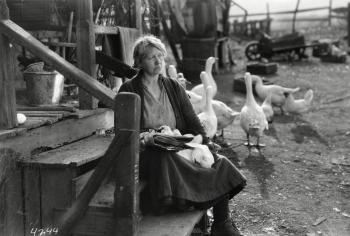 The Silent Renaissance – The Literateur
