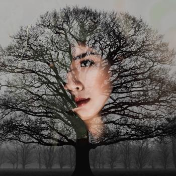 Woman's Face With Bare Tree Artwork