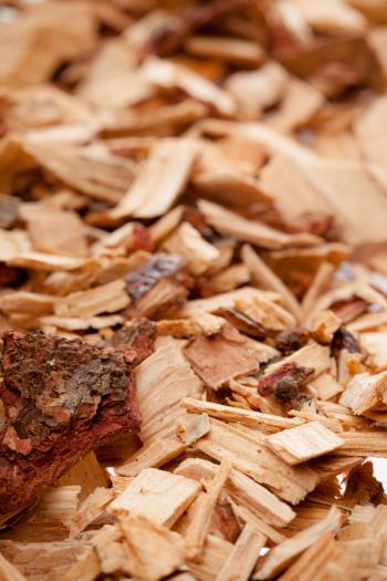 Wood Chips Texture