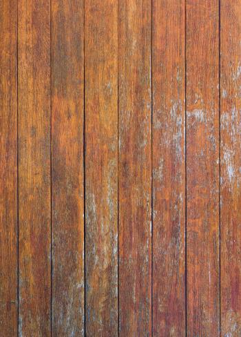 Free high resolution Wood textures | Wild Textures