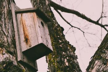 Wooden birdhouse on the trunk
