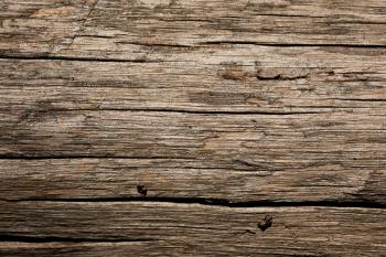 Wooden Log Texture