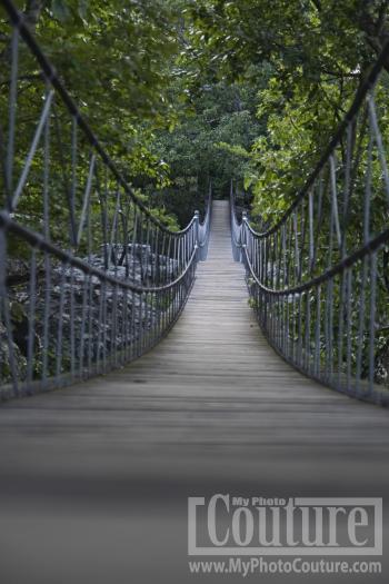wooden bridge Rock City Tennessee | Southern Comfort Zone ...