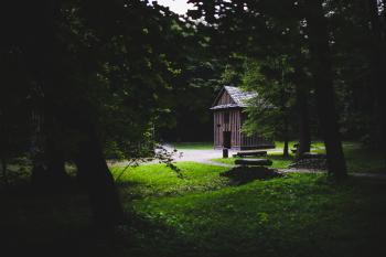 Wooden building in the forest