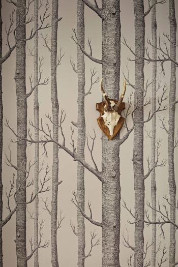 Woods 112/3009 - Icons - Cole & Son