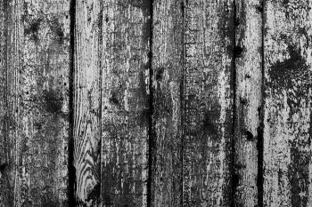 Worn Wood Panel