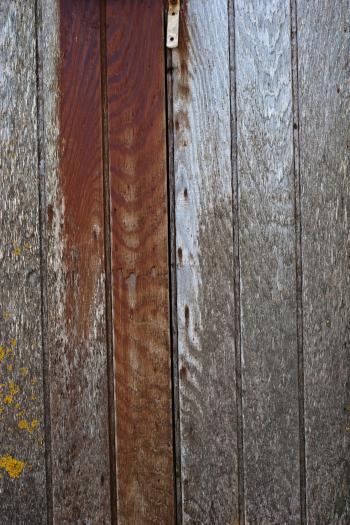 Worn Wood Texture