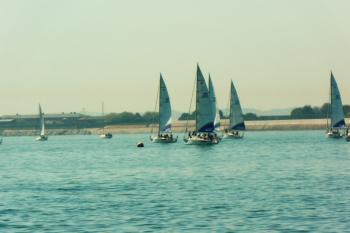 Yachts on the solent