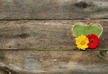 Yellow and Red Flower on Brown Heart Wooden Carved Panel