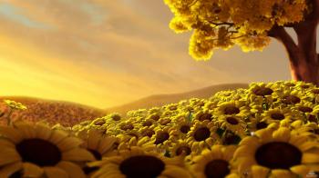 YELLOW BEAUTY - Nature Wallpaper