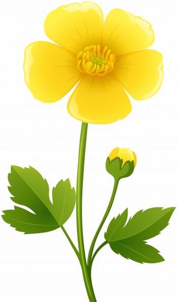 Yellow Flower Transparent PNG Clip Art Image | Gallery Yopriceville ...
