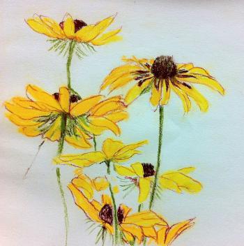 Colored Pencil Flower Drawings | Drawing Sketch Ideas | art ...